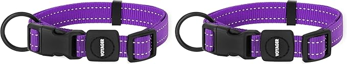 Best Pet Supplies Reflective Dog Collar with Adjustable Length, Heavy-Duty Buckle, and Strong Leash D-Ring, Training, Walking, Jogging Accessory for Small, Medium, and Large Breeds - Purple, S
