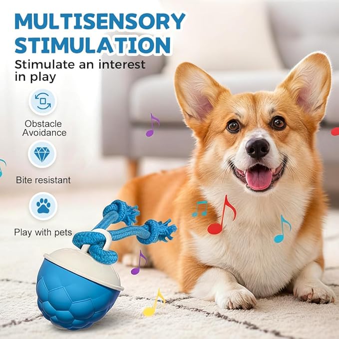 XieJY Interactive Dog Toys - 2026 Upgraded Motion Activated Automatic Rolling Ball Toys for Small/Medium/Large Dogs Balls for Boredom to Keep Them Busy with USB Rechargeable (Blue)
