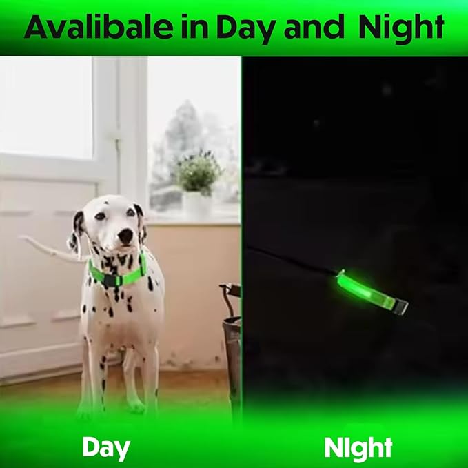 Light Up Dog Collar – Reflective, Adjustable, Rechargeable Electronic Glow Pet Collars – Bright, Comfortable, High Visibility LED Dog Collar for Night Safety, Outdoor Walk, Flashing Fun, Green, Small