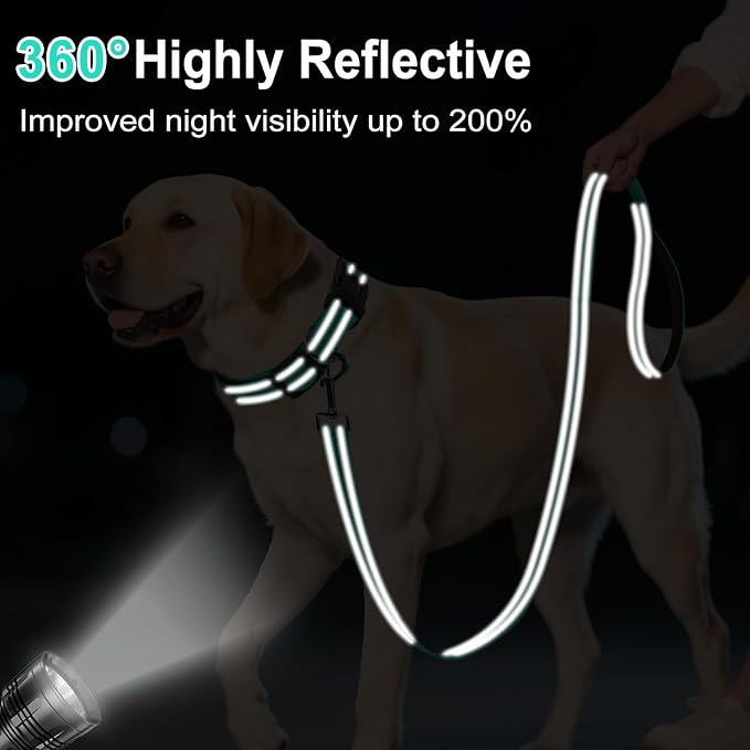 Erbine 6FT Reflective Nylon Dog Leash with Soft Padded Handle for Walking, Running and Training, Supports Small Medium and Large Dogs (Turquoise, 3/4Inch Wide)
