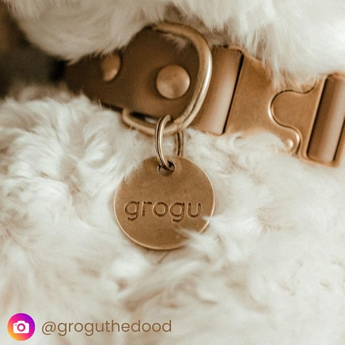 Solid Brass PET TAG - Modern, Minimal Pet IDs. Durable, Lifetime Tags with deep Cut Text. Includes Space for Two Phone Numbers. (Short)