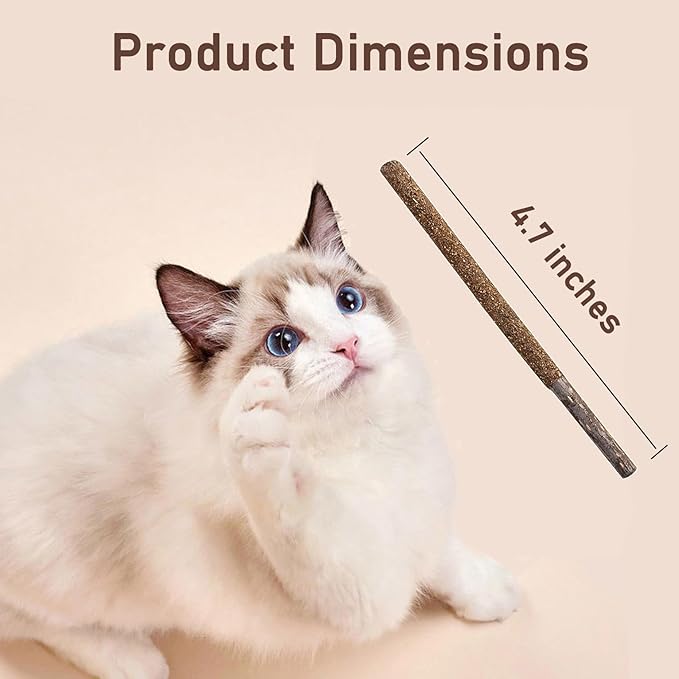Maiguangta Natural Silvervine Catnip Chew Sticks (12 PC) - Edible Dental Chews for Cats & Kittens, Teething Relief Teeth Cleaning Toys