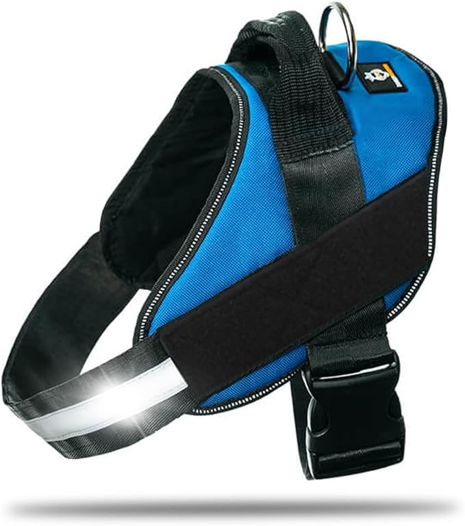 Non Pull Dog Harness with Patch Panels and Handle, Adjustable, Reflective, No Choke, Heavy Duty Easy On Service Dog Vest Harnesses for Medium Large Small Sized Dogs - Blue, S