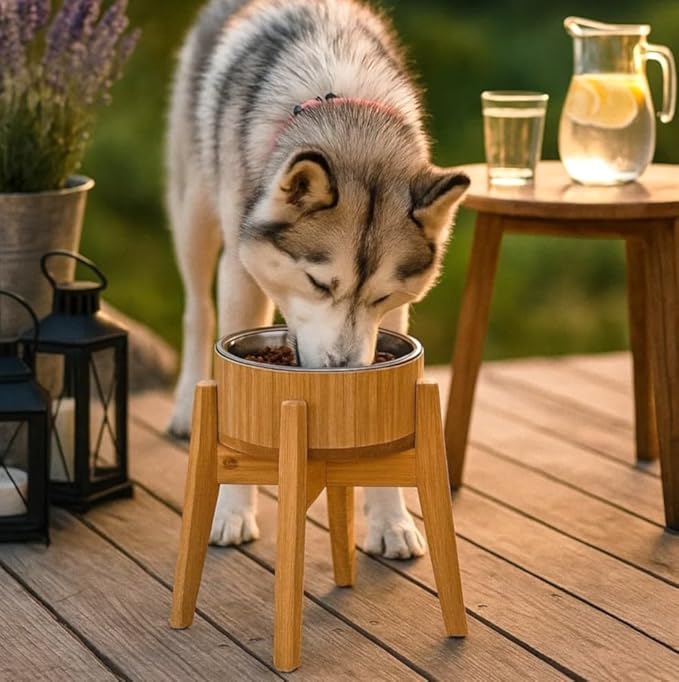 Raised Dog Bowl - Elevated 12-inch, Large Breeds Treats, Dry and Wet Foods Suitable - Deter Ants/Bugs, Resist Tip-Over - Bamboo/Steel Bowls