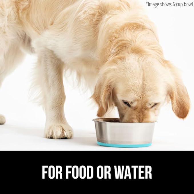 GORILLA GRIP Dog Bowl, Holds 4 Cups (32 fl oz), Heavy Duty Metal Food and Water Bowl for Feeding Dogs and Cats, Dishwasher Safe, Rust Resistant Stainless Steel, BPA Free Rubber Base, Turquoise