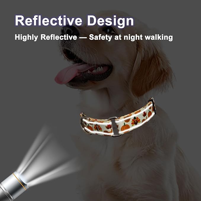 Thanksgiving Reflective Martingale Collar for Dogs with Quick Release Buckle Pumpkin Dog Collars (Yellow Chicken, Small)