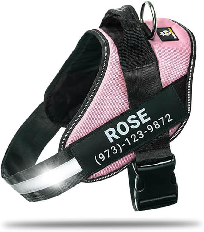 Personalized No-Pull Dog Harness with Name Patch, Adjustable, Reflective, Padded, Heavy Duty Pet Vest to Prevent Tugging, Pulling, or Choking, Training and Walking, Pink, L
