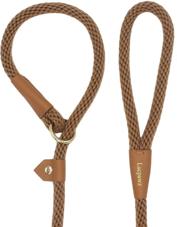 Pet Slip Leash, 6ft Slip Leads for Dogs, Dog Lead Collar Combo