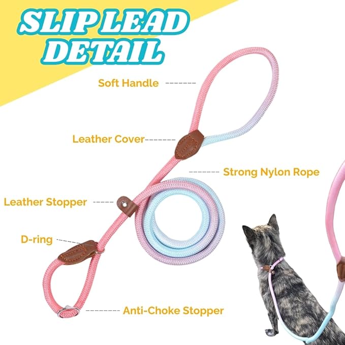 Dog Leash - Slip Leads for Dogs, 5 FT Pet Training Leash, Strong Heavy Duty Braided No Pull Loop Rope Training Lead Leashes for Small, Medium, Large Breeds, Pink & Blue