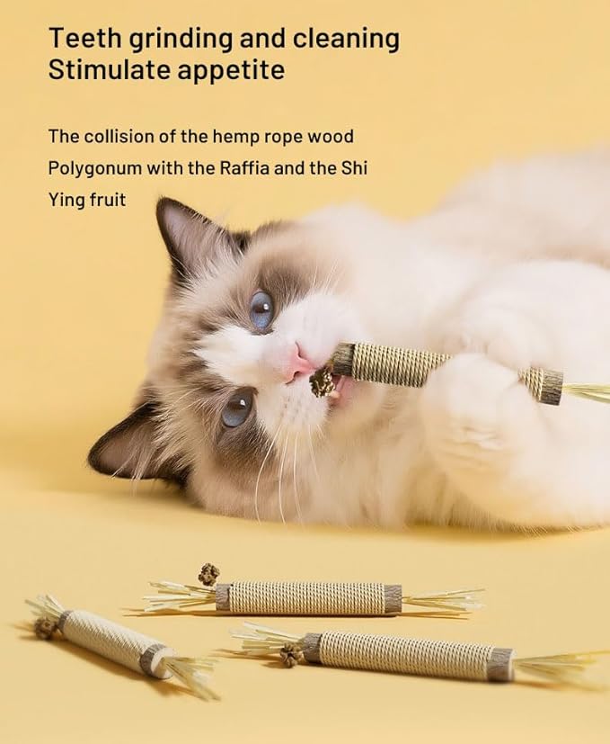 Interactive Cat Toy Set, 6-Piece Variety Pack with Plush Fish, Catnip Fish Skeleton, Feather Mouse Ball, Wood Puzzle Ball, Sisal Catnip Stick, Crinkle Baseball for Indoor Cats