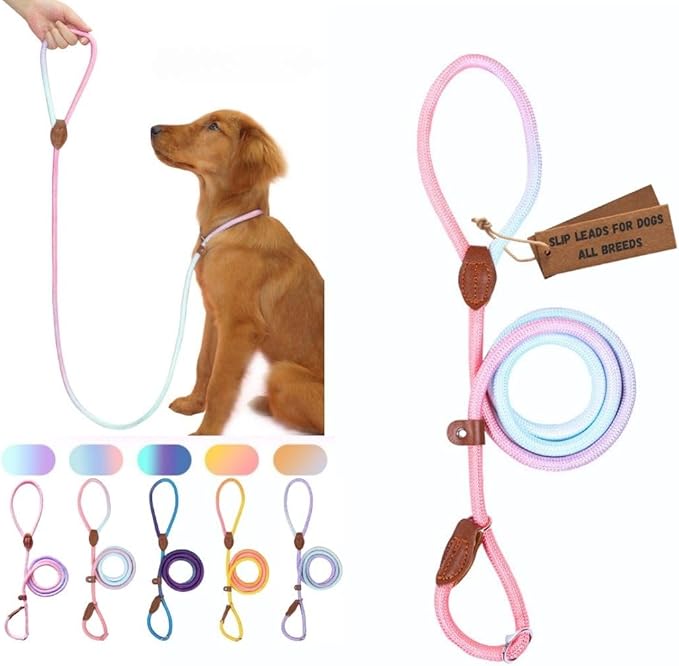 Dog Leash - Slip Leads for Dogs, 5 FT Pet Training Leash, Strong Heavy Duty Braided No Pull Loop Rope Training Lead Leashes for Small, Medium, Large Breeds, Pink & Blue