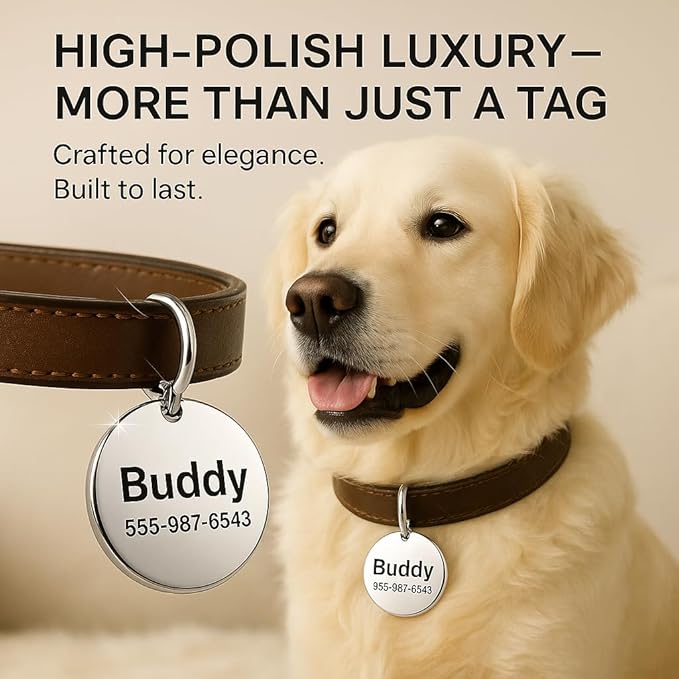 Dr. Fremont's Stainless Steel Custom Pet ID Personalized Engraved Identification Cat and Dog Tags with Custom Text, Many Shapes Including Bone, Heart, Circle (Classic Stainless Steel, Large Heart)