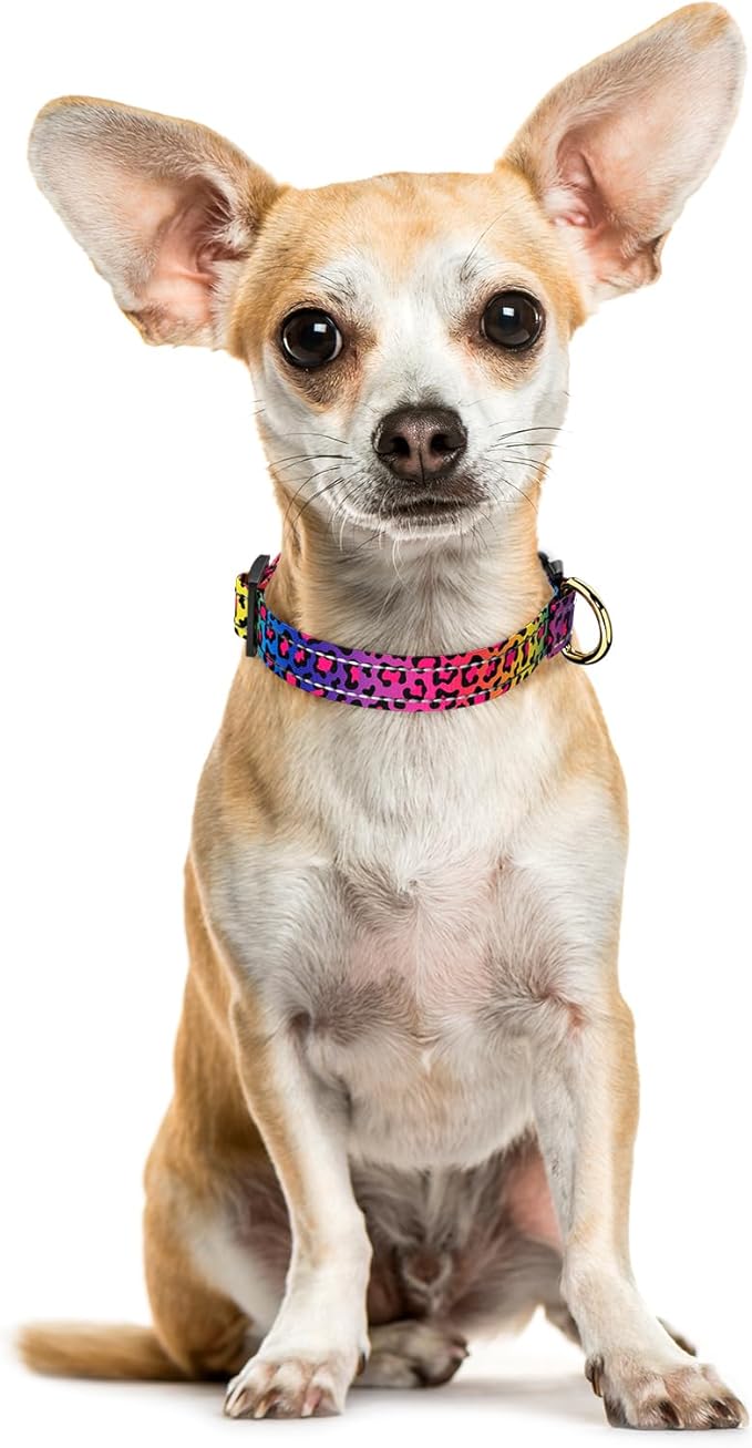 Reflective Dog Collar for Extra Small Dogs Cats, Cute Leopard Style Adjustable Heavy-Duty Nylon Puppy Collar for Boy and Girl Female, Soft Pet Accessories with Quick Release Buckle, Neon