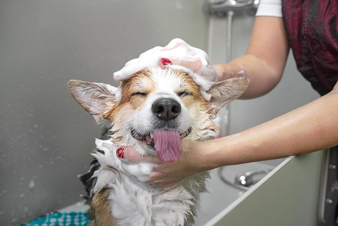 Doggy Style Plant-Based 2-in-1 Dog Shampoo & Conditioner, Hypoallergenic, Sulfate-Free Vegan Dog Wash for All Breeds & Coat Types, Gentle Clean & Deep Condition, Tear-Free