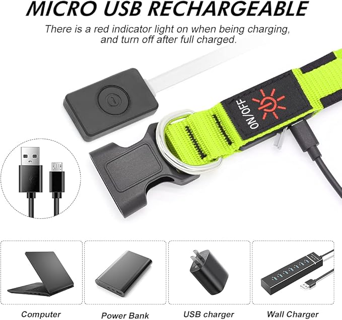Illumifun LED Dog Collar, USB Rechargeable Light Up Collar, Flashing Pet Safety Light Glow in The Dark (Green, X-Large)