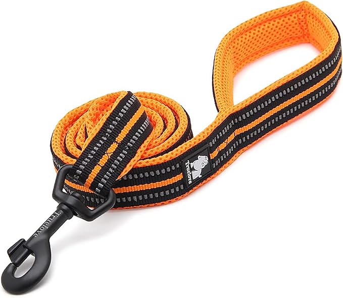 TRUE LOVE Reflective Dog Leash Puppy Walking Lead, Padded Pet Chain Rope，Length 110cm Truelove TLL2111(Orange,M)