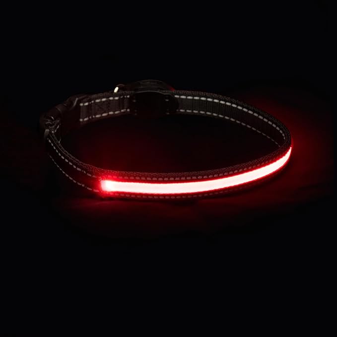 Sherry Kline LED Light-Up Pet Collar - USB Rechargeable - Flashing Glow in The Dark Size Large, Color: Red