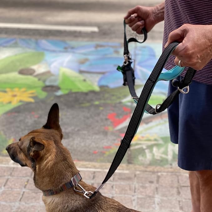 No Pull Dog Leash for Large Dogs – 6ft Highly Reflective Bungee, Heavy Duty Leash for Large Dogs, 4 Padded Handles, Strong Carabiner Clip & Rings, Includes Poop Bag Holder & Treat Pouch (Orange)
