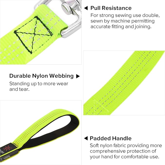 Illumifun LED Dog Leash, 4FT Reflective Light Up Dog Leash, Safety Flashing Dog Lead Light Glow in The Dark (Green Ⅲ)