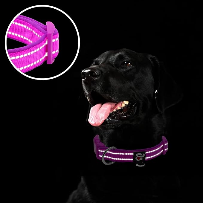azuza Reflective Dog Collar,Soft Neoprene Padded Pet Collar with ID Tag Ring,Adjustable for Small Dogs,Purple,S