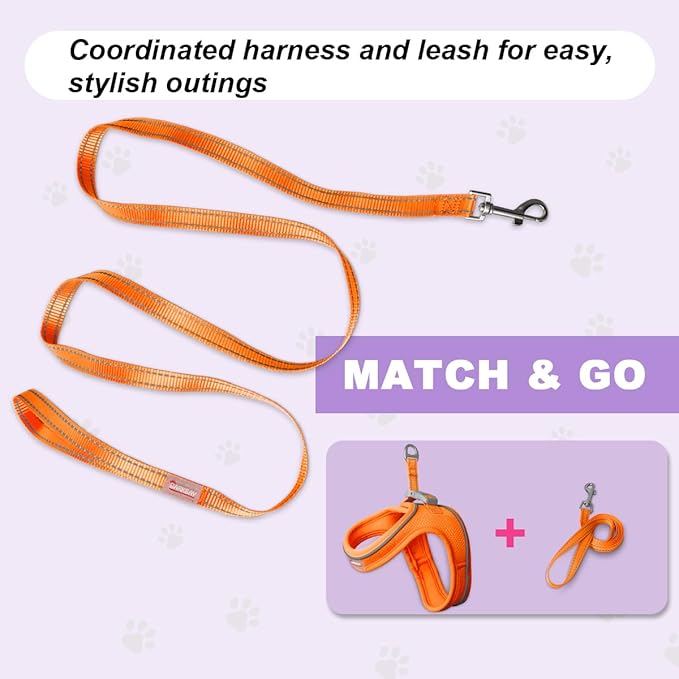 Cat Harness and Leash Set,Escape Proof Kitten Harness,Step in Adjustable Soft Lightweight,Easy Control,Reflective Strips Comfortable for Walking Travel(Orange,M)