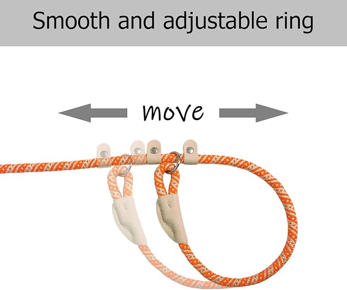 Slip Lead Rope Dog Leash Heavy Duty for Training, Nylon Strong Slip Leads for Dogs 6 Ft X 3/8 Inch, Adjustable Comfortable Training Leash for Small Medium Dogs