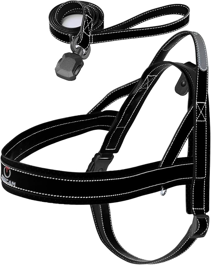 Magnetic Quick-Release Buckle Dog Harness and Leash Set, Easy Walk Faux Leather Puppy Harness, Easy On & Off Dog Vest with Handle for Medium, Large Girl Boy Dogs for Hiking Training, Black, XL