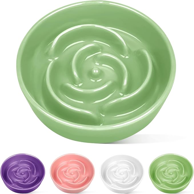 TRUVIC Ceramic Slow Feeder Dog Bowls Small Breed, 0.6 Cup Slow Feeder Cat Bowls for Fast Eaters, Ceramic Dog Food Dish no Black Chin, Puzzle Bowl for Small Dogs and Cats, Green