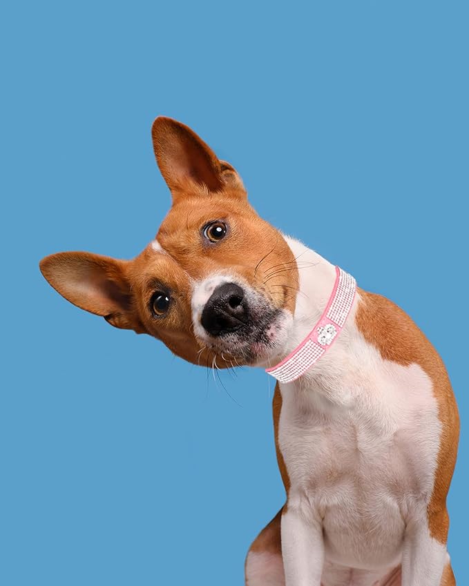 Dog Collar for Small Dogs, Adjustable Leather Suede Bling Dog Collars，Pink Dog Collar Cat Collar, Rhinestone Dog Collar (L, pink3)