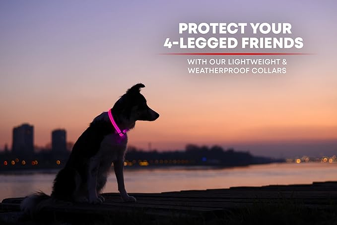 ILLUMISEEN LED Dog Collar USB Rechargeable - Bright & High Visibility Lighted Glow Collar for Pet Night Walking - Weatherproof, in 6 Colors & 6 Sizes (Pink XX-Small)
