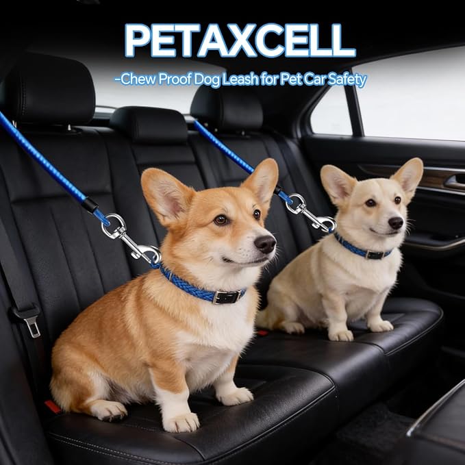 2 Pcs Car Seat Belt Harness for Dog, Dog Seatbelt Clips of Coated Wire Leash Safety Restraint, Metal No Chew Tether Cable Vehicle Dogs Accessories,Double Clips & Buckle Latch (Blue)