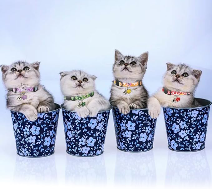 SuperBuddy Cat Collars Breakaway with Bell - 4 Pack Cat Safety Collars for Boys & Girls - Safety Buckle Kitten Collar for Pet Supplies,Stuff,Accessories