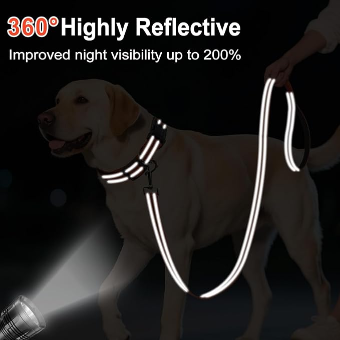 Erbine 6FT Reflective Nylon Dog Leash with Soft Padded Handle for Walking, Running and Training, Supports Small Medium and Large Dogs (Orange, 3/4Inch Wide)