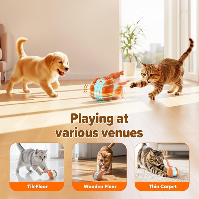 ANYSENT Interactive Dog Toy,2026 New Automatic Rolling Ball with Rope for Cat, Durable Dogs Rope Toy for Chewing and Playing, Dogs Ball Toy for Puppy Cats (Blue/1pcs)