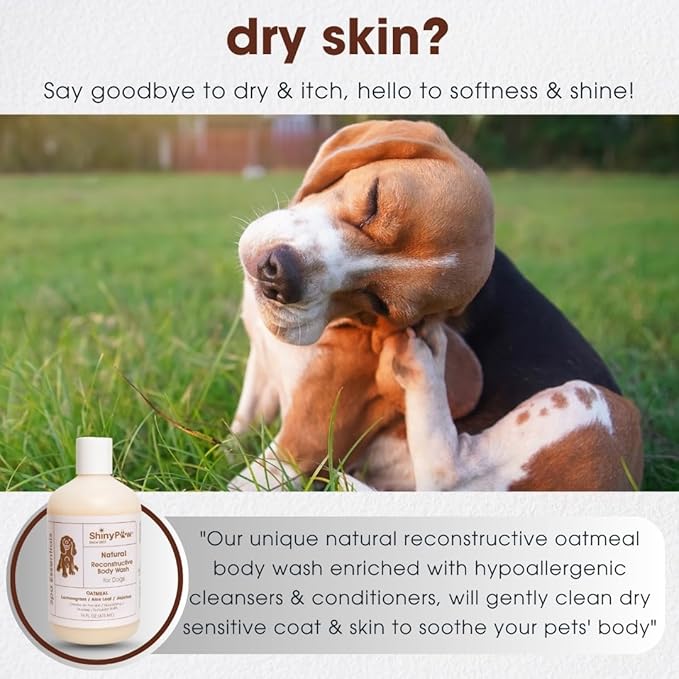 Oatmeal Shampoo for Dogs 16 oz | Shiny Paw Dog Shampoo for Allergies and Itching | Controls Dog Shedding Naturally | Itchy Skin Relief for Dogs | Tearless Dog Shampoo & Conditioner
