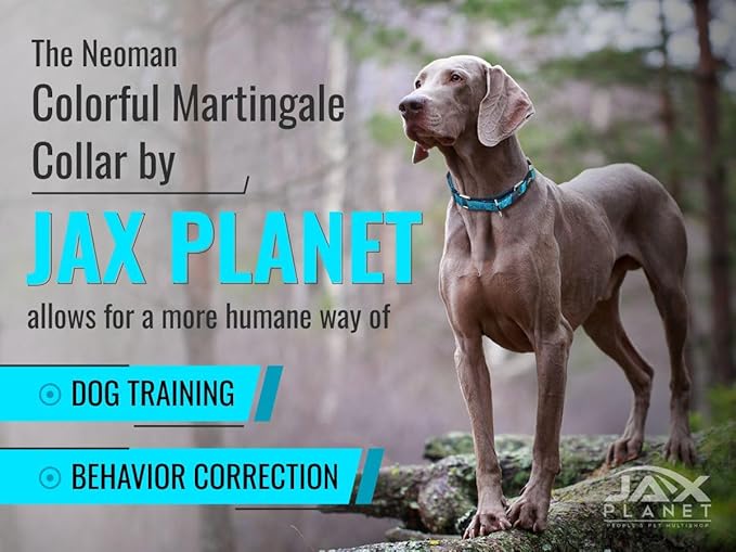 Blue Martingale Collar for Dogs - Heavy Duty Nylon Pet Collars for Escape-Free, No Pull Training & Walking with Alloy Metal Release Buckle & Reflective D Ring, One Time Adjustment, Safe & Secure, S