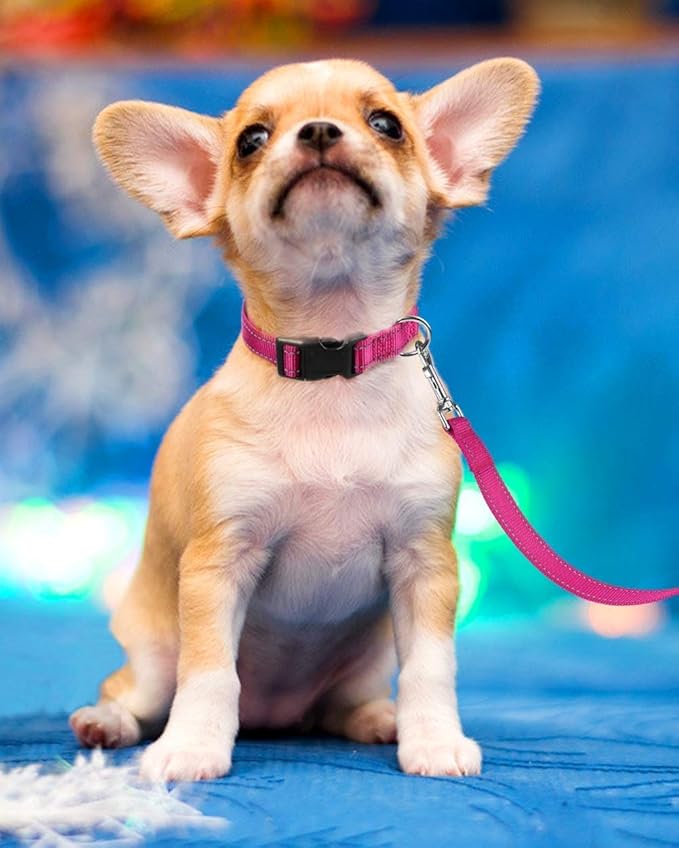 Reflective Dog Collar with Buckle Adjustable Safety Nylon Collars for Small Medium Large Dogs, Pink XL