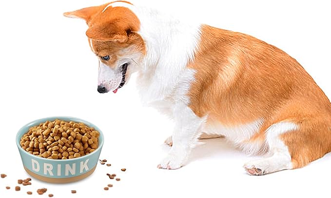 7.2" Non-Slip Ceramic Dog Bowl, 37 Oz Heavy-Duty Dog Food/Water Dish, Pet Feeding Bowl for Small and Medium Dogs, Food Grade Porcelain Pet Feeder Bowl, Microwave and Dishwasher Safe, Lake Blue