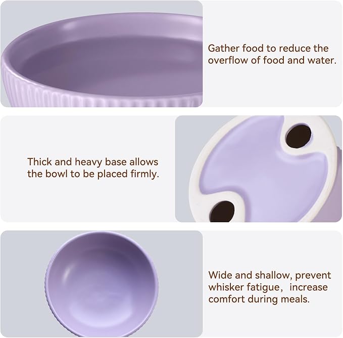 Ceramic Elevated Cat Bowls-Water Bowl, 15° Tilted Design, Anti-Vomiting & Spine Protection, Prevent Whisker Fatigue for Kittens to Adult Cats and Small Dogs (Purple-Elevated Cat Bowls-2)