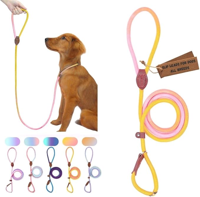 Slip Leads for Dogs, Dog Training Leash Heavy Duty No Pull Dog Leash Comfortable Strong Loop Rope Nylon for Large Medium Small Dogs Puppy… (Pink & Yellow, Large (5 Foot x 5/16") (26-45 lbs))