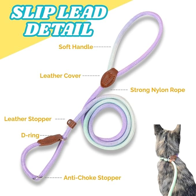 Dog Leash - Slip Leads for Dogs, 5 FT Pet Training Leash, Strong Heavy Duty Braided No Pull Loop Rope Training Lead Leashes for Small, Medium, Large Breeds, Purple & Green