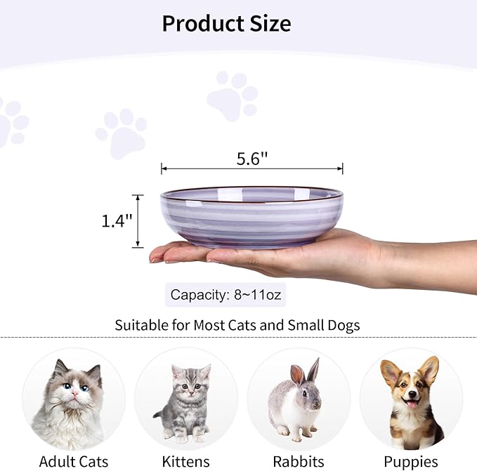 Selamica Ceramic Cat Food Bowl, 5.6 Inch Wide Shallow Cat Bowls/Dishes for Food and Water, Whisker Friendly, Set of 6, Gradient Colors