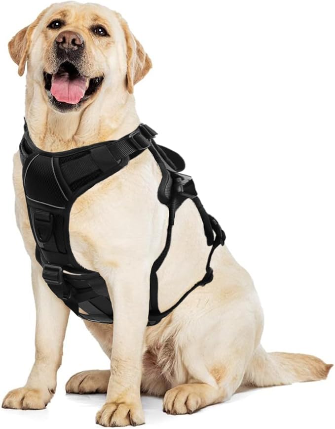 AUROTH Escape Proof Dog Harness - No Pull with Lift Handle, Soft Padded Reflective Adjustable Vest, Large for Walking, Hiking, Training