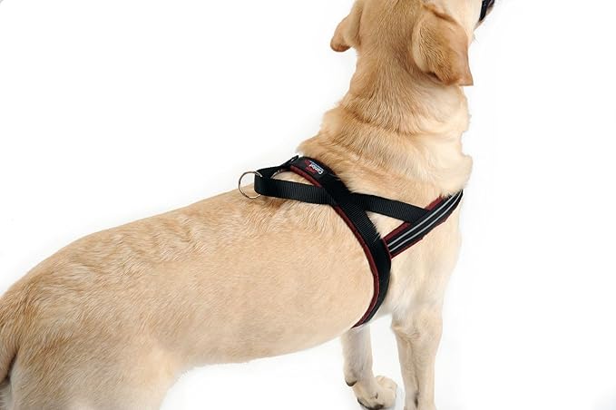 ComfortFlex Patriotic Dog Harness – Fully Padded, Adjustable, Lightweight No-Choke, No-Pull, Non-Chafing Design for Active Dogs, Enhanced Control, Made in The USA - Small, The Patriot