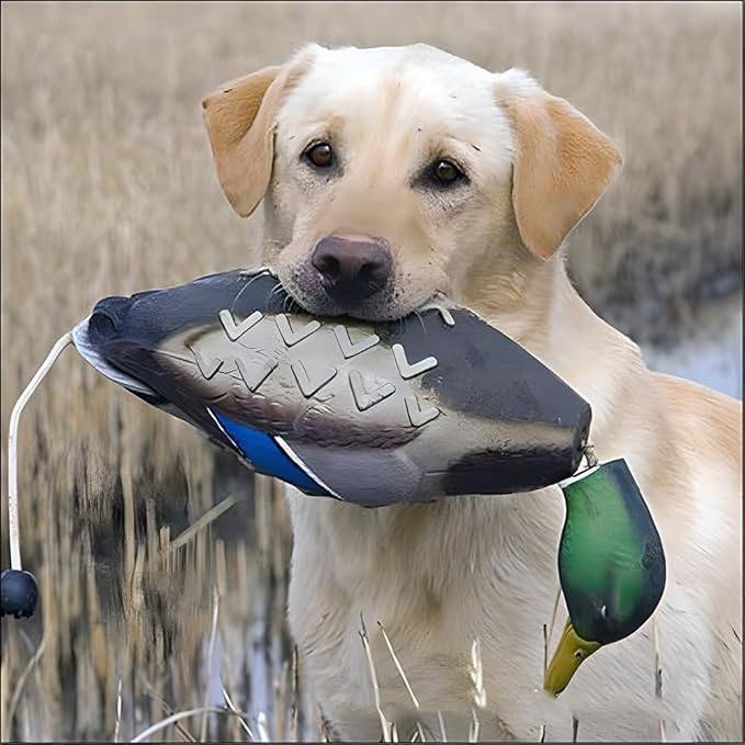 fingig 2 Pcs Duck Dummy Bumper Toys for Hunting Retriever Dog Training, Dog Retriever Outdoor Training Toy ，Hunting Duck Recognition Trainers, Foam Pet Interactive Toys