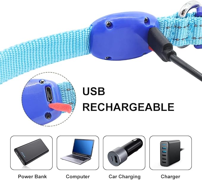 Light Up Dog Collar - Rechargeable Puppy Collar Glow in The Dark LED Dog Collar Lights for Small Dogs & Cats (X-Small, Blue)