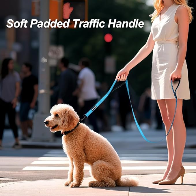 Heavy Duty Double Handle Dog Leash 6 ft Long for Total Control, Padded 2 Handle, Reflective Training Lead for Medium Large Dogs (Sky Blue, 6 FT)