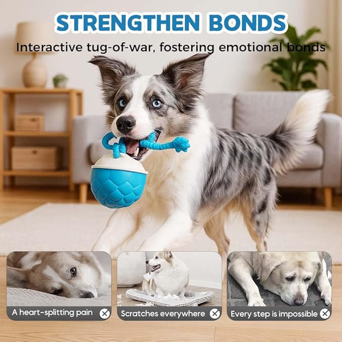 XieJY Interactive Dog Toys - 2026 Upgraded Motion Activated Automatic Rolling Ball Toys for Small/Medium/Large Dogs Balls for Boredom to Keep Them Busy with USB Rechargeable (Blue Orange)