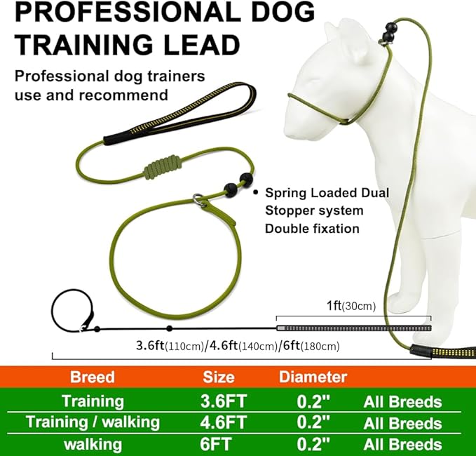 BeauGo|Slip Leads for Dogs|Dog Training Leash|2-In-1Training Lead & Collar,Thin Rope specifically Designed for Dog Training and NGKC Competition,Sturdy and Durable,Suitable for All Dogs,Dog leash6FT