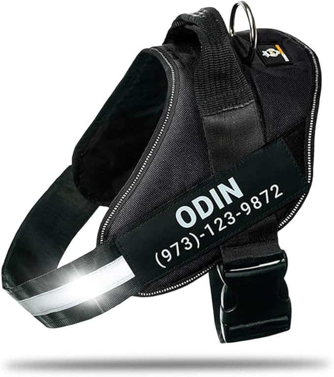 Personalized No-Pull Dog Harness with Name Patch, Adjustable, Reflective, Padded, Heavy Duty Pet Vest to Prevent Tugging, Pulling, or Choking, Training and Walking, Black, 2XL